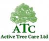 www.active-treecare.co.uk